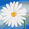Margherite - Brick Art Mosaic Kit