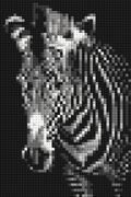 Black & White Zebra - Brick Art Mosaic Kit