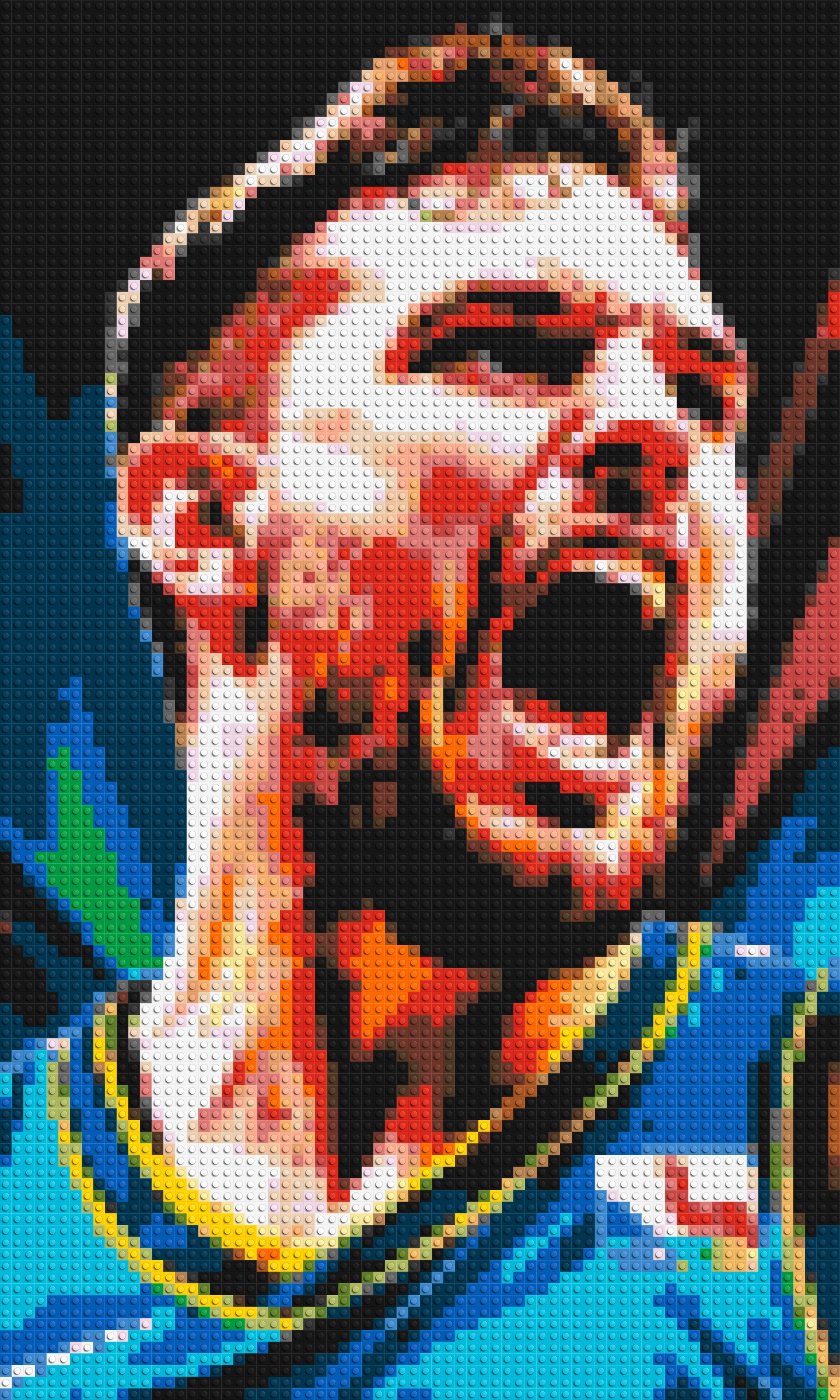Luka Don?i? - Brick Art Mosaic Kit