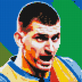 Nikola Joki? - Brick Art Mosaic Kit