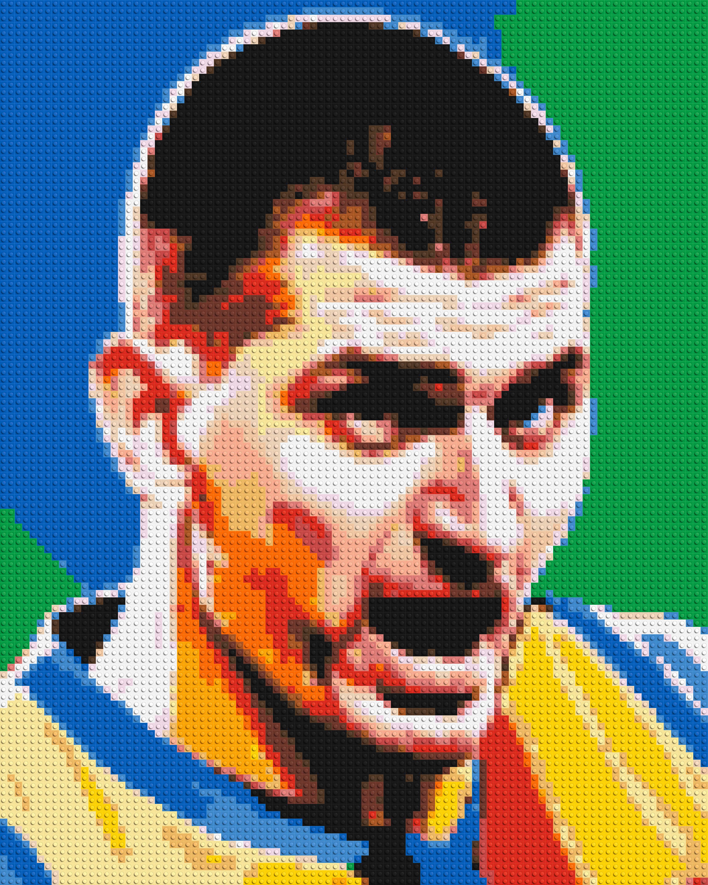 Nikola Joki? - Brick Art Mosaic Kit
