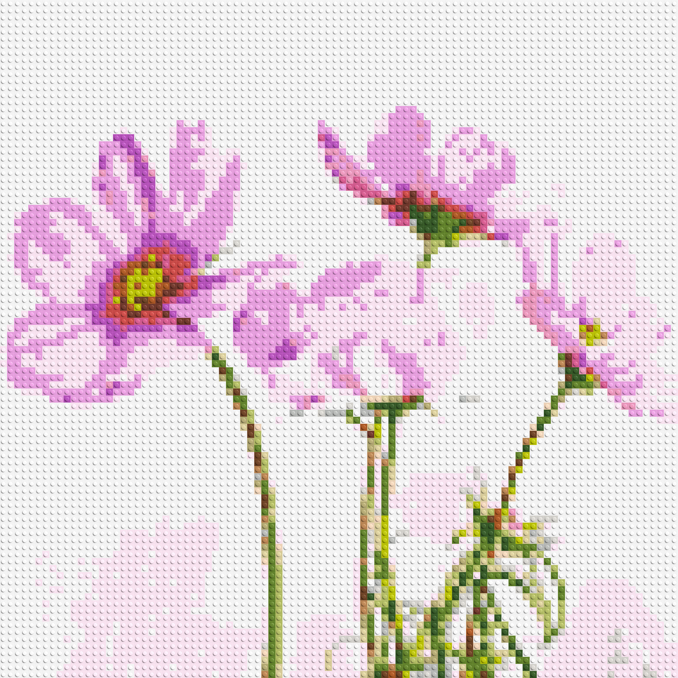 Pink Cosmea - Brick Art Mosaic Kit