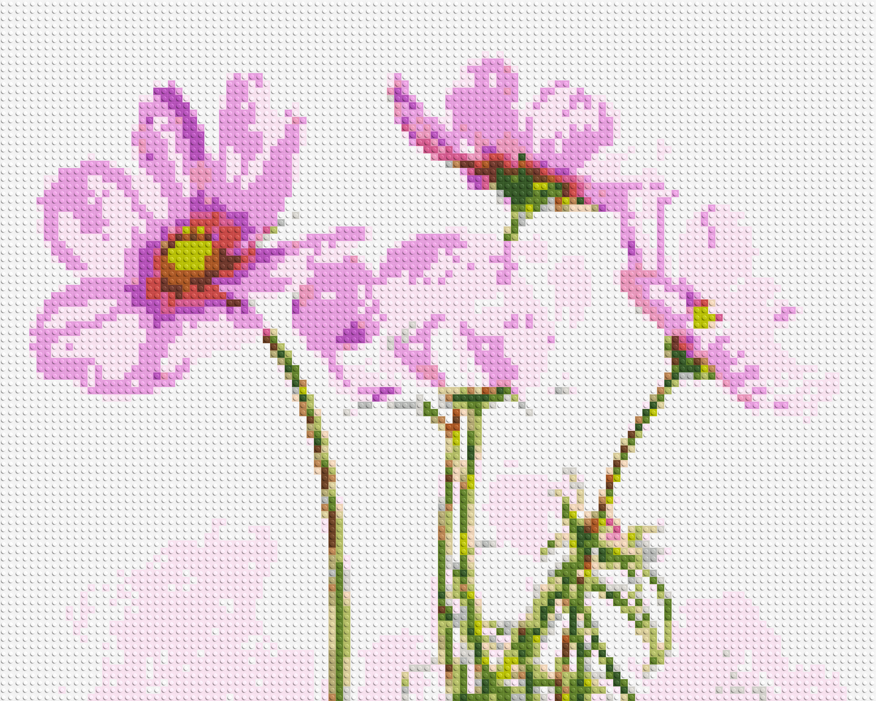 Pink Cosmea - Brick Art Mosaic Kit