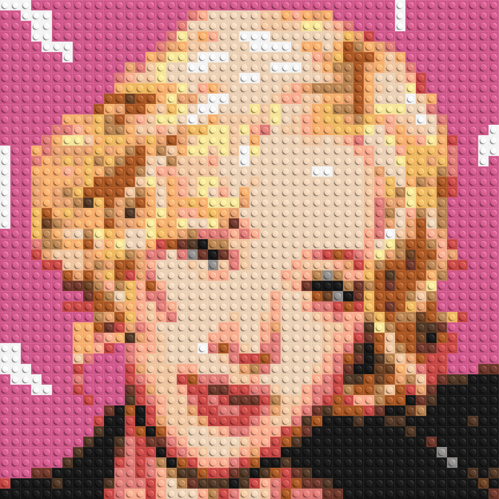 Ros¨¦ - Brick Art Mosaic Kit