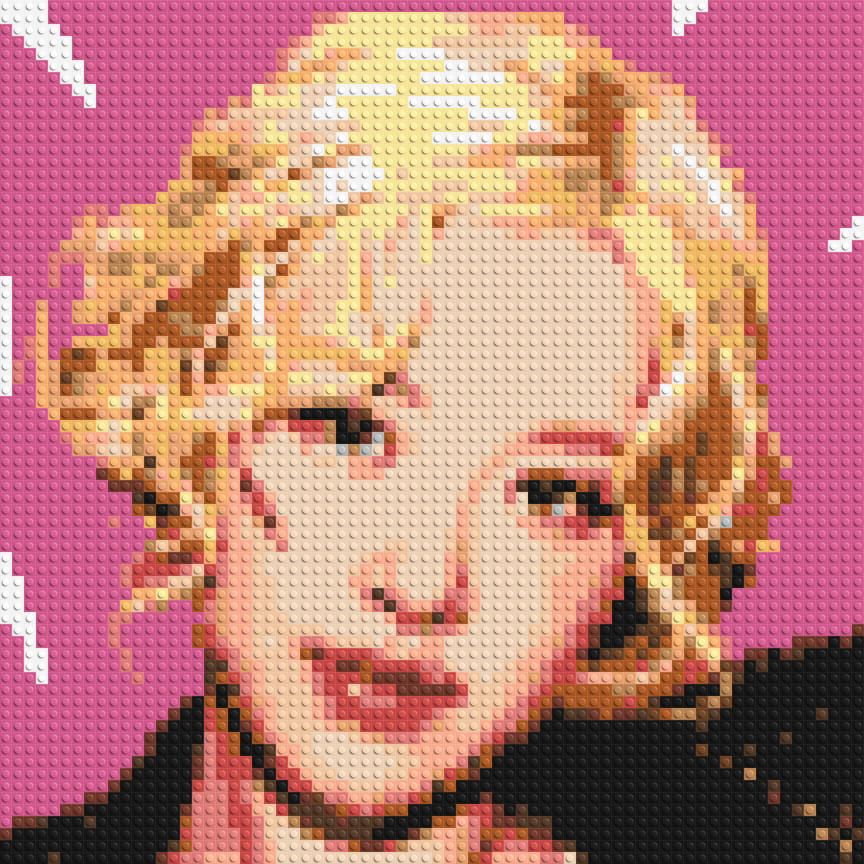 Ros¨¦ - Brick Art Mosaic Kit