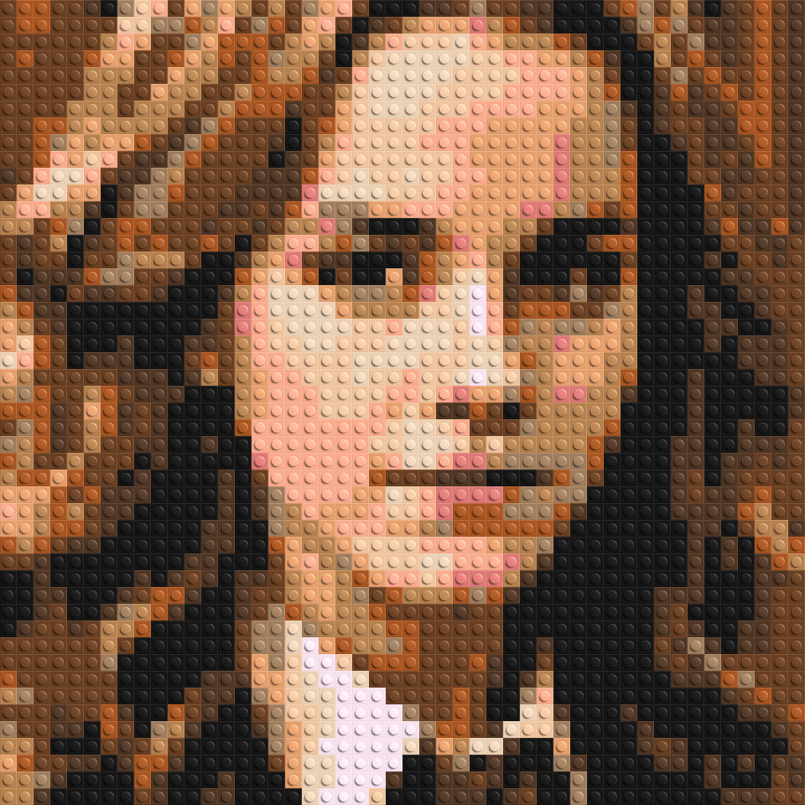 Hermione Granger - Harry Potter - Brick Art Mosaic Kit