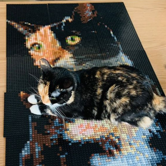 Personalized Brick Mosaic Gift for Cat Lovers | LEGO-Compatible Bricks
