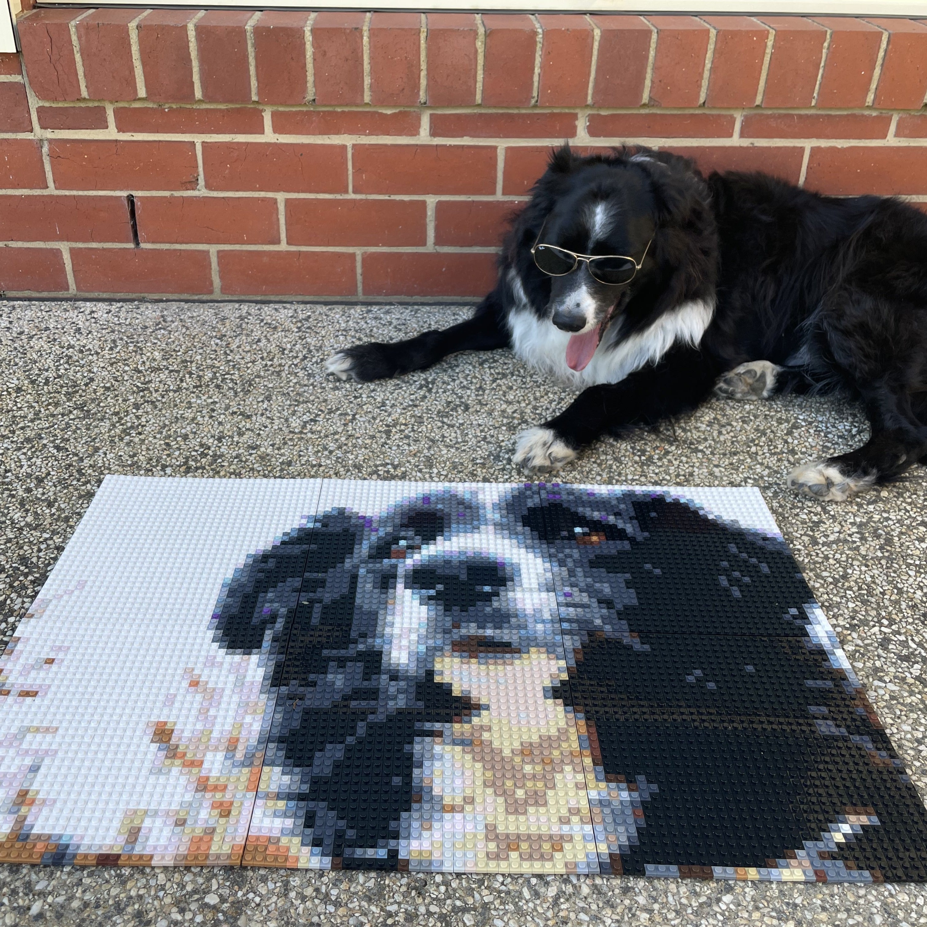 Personalized Brick Mosaic Gift for Dog Lovers | LEGO-Compatible Bricks