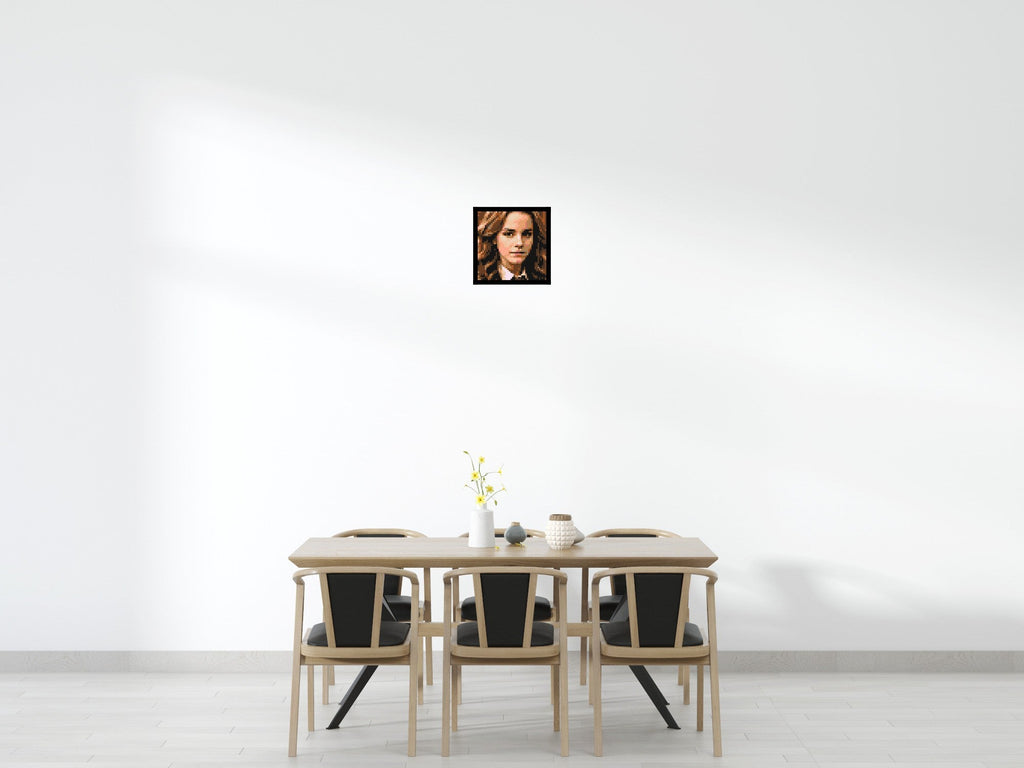Hermione Granger - Harry Potter - Brick Art Mosaic Kit